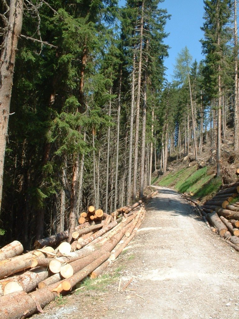 Forest management operations