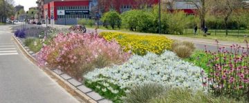 Urban depaving and soil restoration